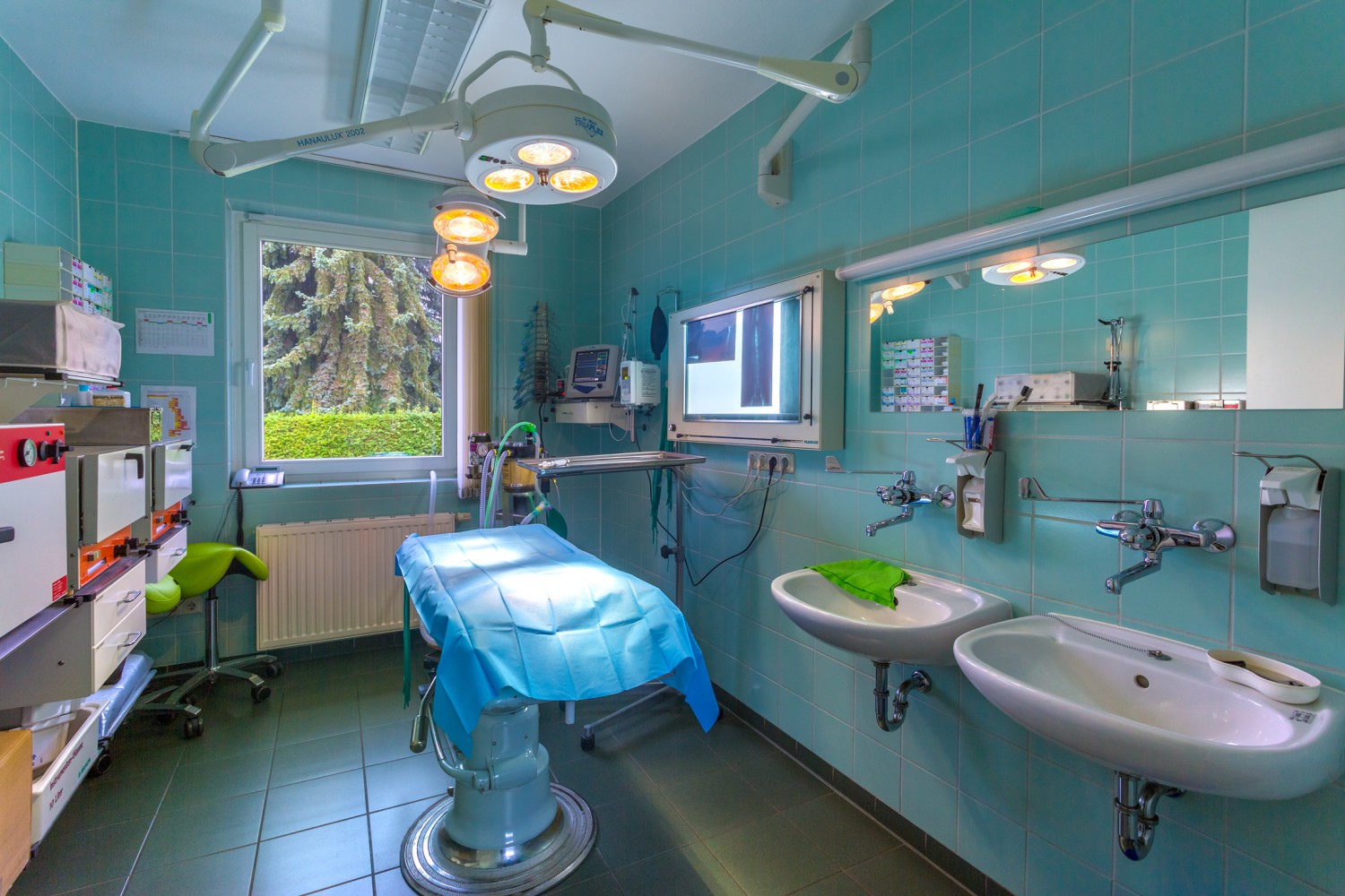 Operationssaal für Kleintiere. Tierarzt. Zwickau