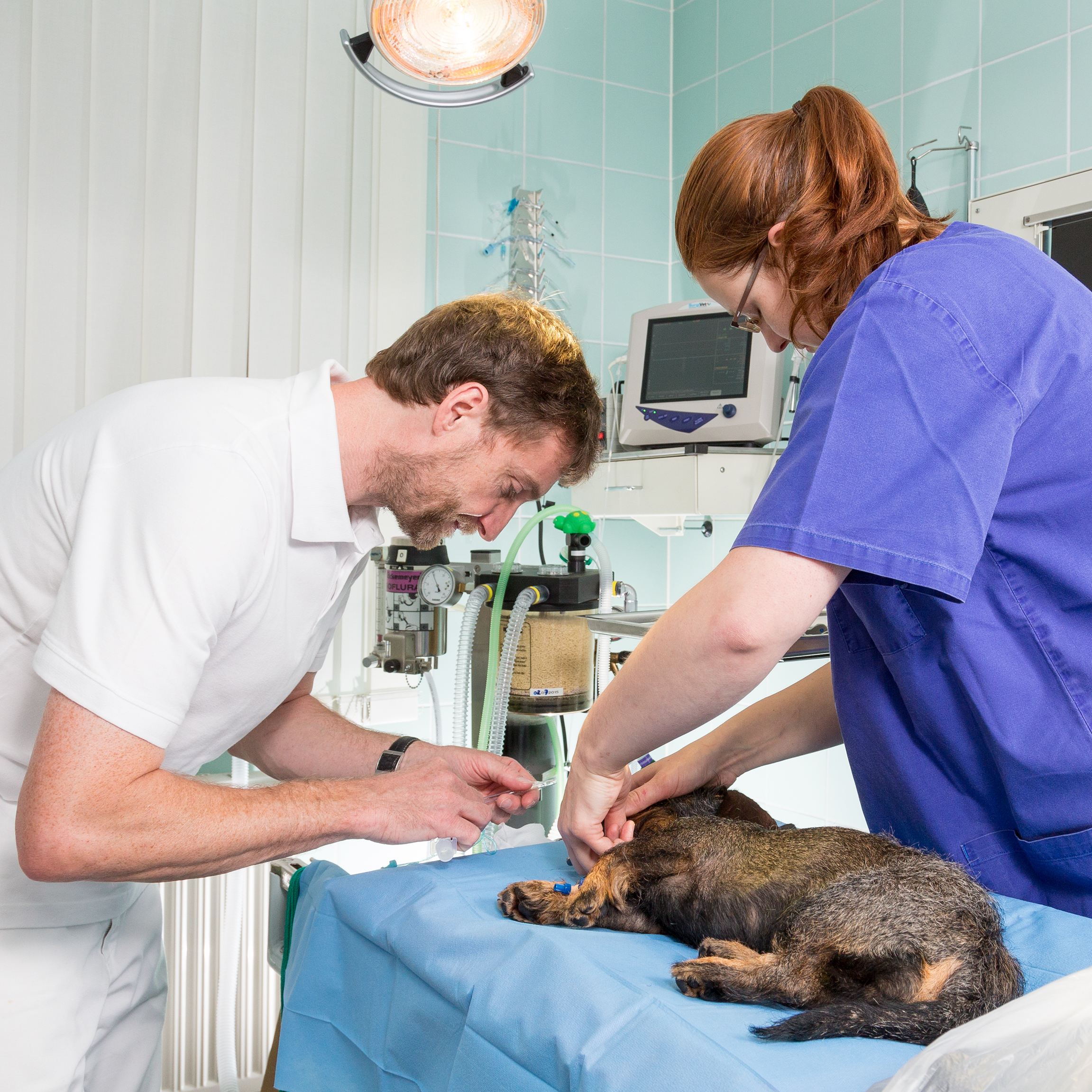 Vorbereitung des Patienten zur OP – Intubation