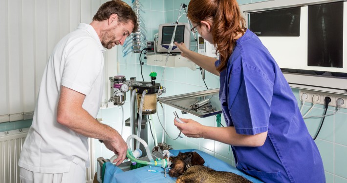 Vorbereitung des Patienten zur OP – Anschluss an Inhalationsnarkose