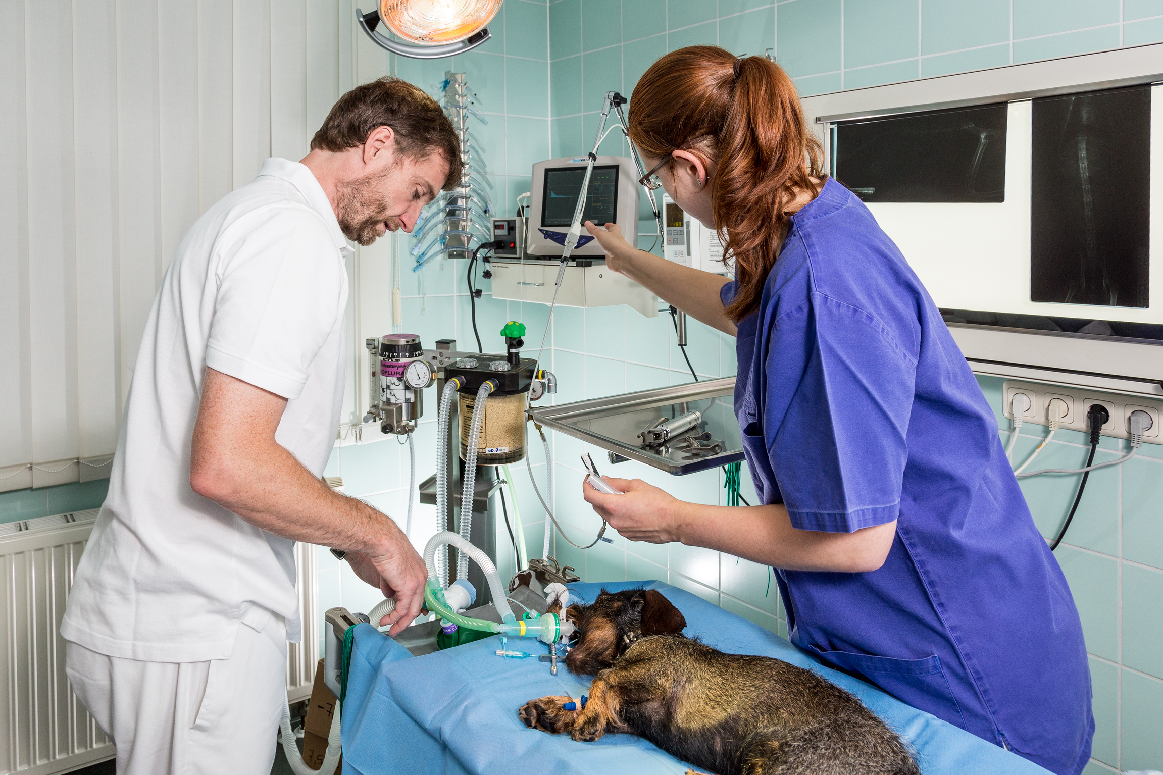 Vorbereitung des Patienten zur OP – Anschluss an Inhalationsnarkose