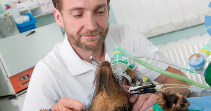 Vorbereitung des Patienten zur OP