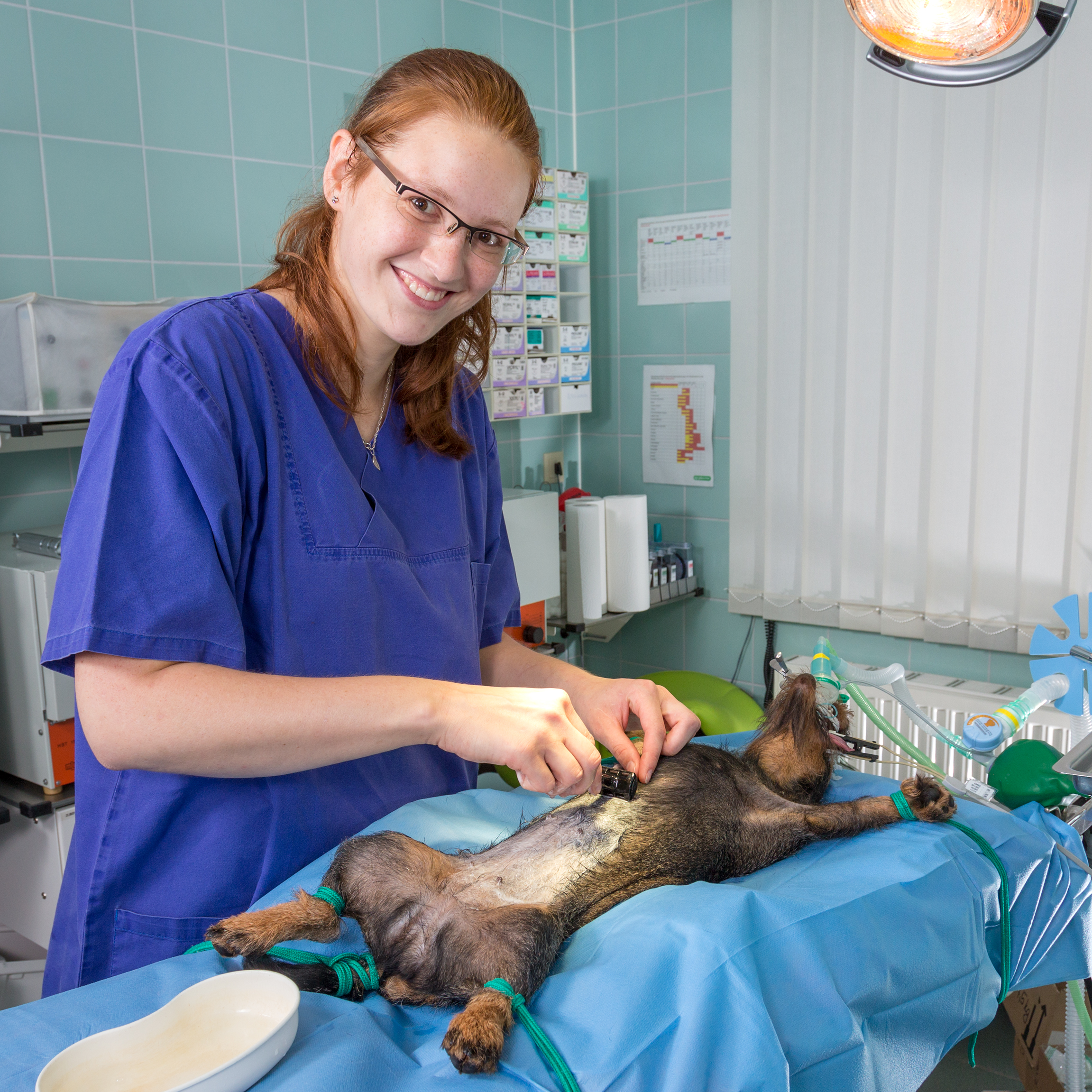 Vorbereitung des Patienten zur OP – Rasieren des OP-Feldes
