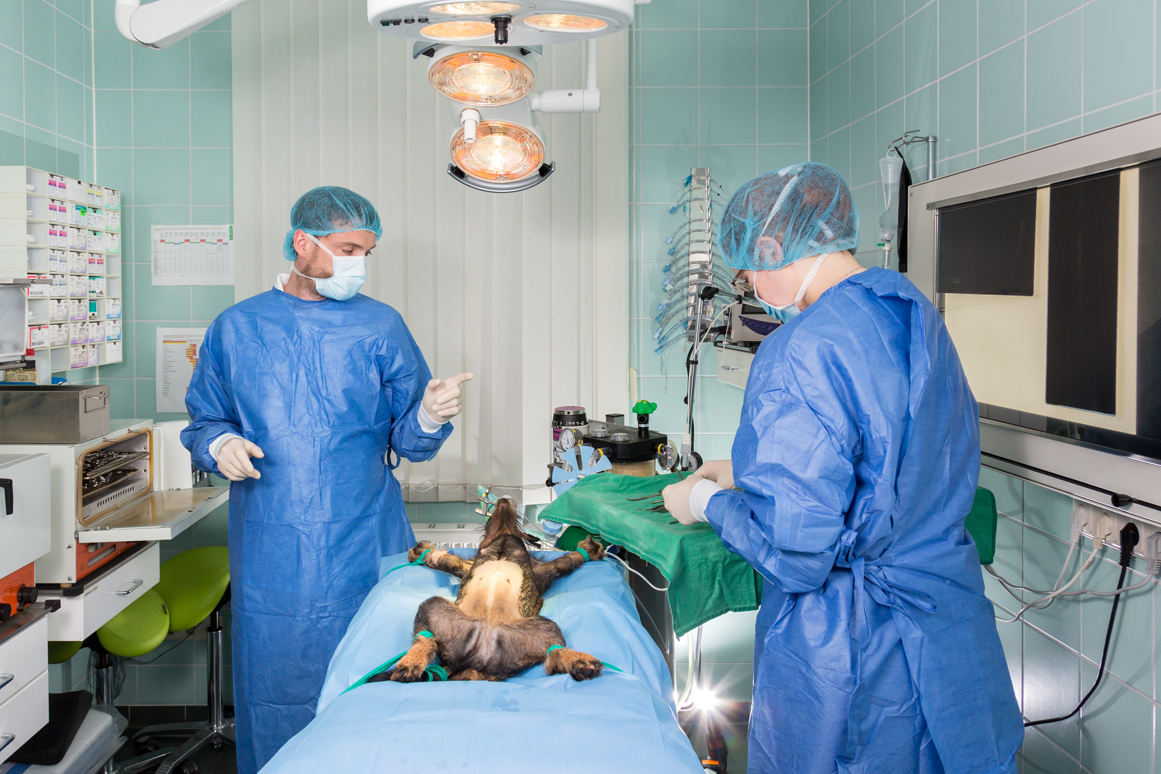 Vorbereitung der Operation – Bereitlegen des OP-Besteckes