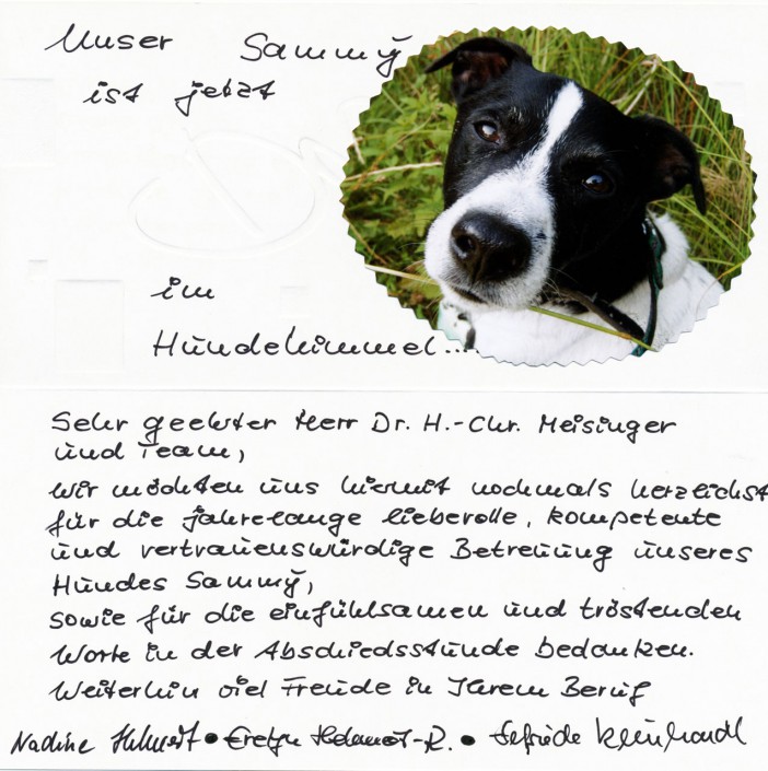 Wir sagen dem Tierarzt Danke! Zwickau. Crimmitschau.