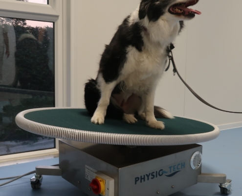 Physiotherapie